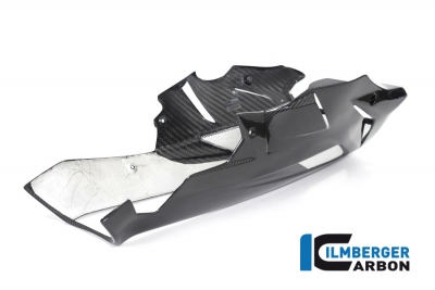 Spoiler motor Ilmberger carbono incl. kit de montaje BMW S 1000 R