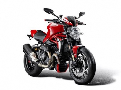 Performance Khlerschutzgitter Ducati Monster 1200 R