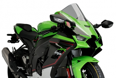 Puig winglets Kawasaki ZX-10R