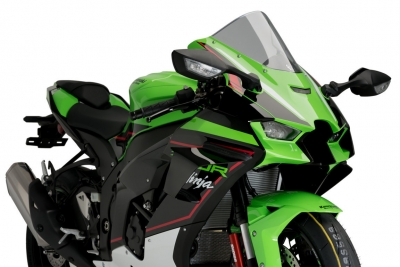 Puig Winglets Kawasaki ZX-10R