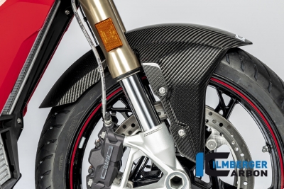 Copriruota anteriore in carbonio BMW S 1000 XR