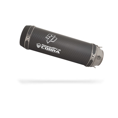 Auspuff Cobra SPX BMW F 900 R (Cobra automatisch deaktiviert)