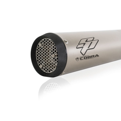 Auspuff Cobra SPX BMW F 900 R (Cobra automatisch deaktiviert)