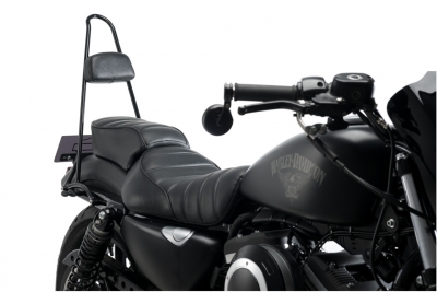 Custom Acces Syssybars Wild Harley Davidson Sportster 883