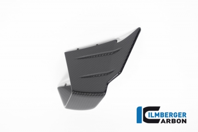 Winglets de carbono Ilmberger Original derecho BMW M 1000 RR