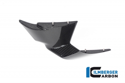 Carbon Ilmberger original winglets right BMW M 1000 RR