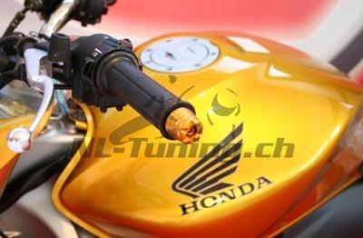 Evotech Lenkerendzapfen Yamaha FZ8