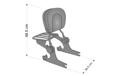 Custom Acces Syssybars Plane CL Harley Davidson Sportster 1200 Forty Eight