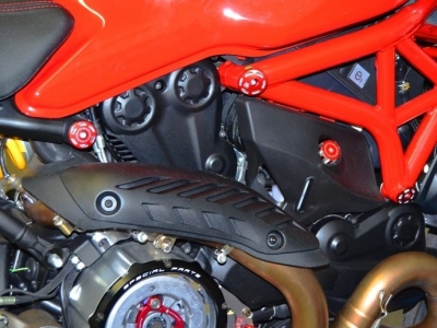 Ducabike framebouten Ducati Monster 1200 /S