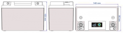 Batteria al litio intatta Indian FTR 1200