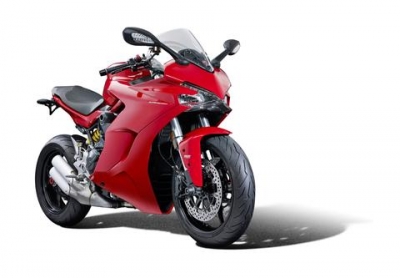 Performance Khlerschutzgitter Ducati Supersport 950