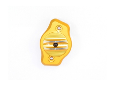 Ducabike Set coperchio albero a camme Ducati Monster 1100