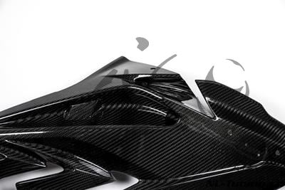 Carbon Ilmberger side fairing set BMW S 1000 RR