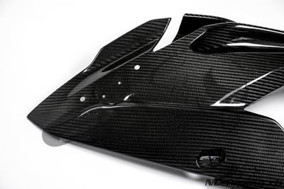 Set di carenature laterali in carbonio BMW S 1000 RR