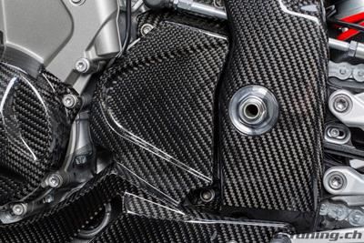 Carbon Ilmberger Ritzelabdeckung BMW S 1000 RR