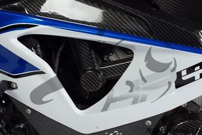 Protector de carbono Ilmberger en el conjunto de bastidor BMW S 1000 RR