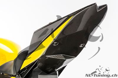 Coperchio posteriore in carbonio Racing BMW S 1000 RR