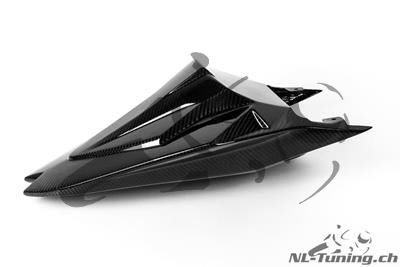 Carbon Ilmberger Heckabdeckung Racing BMW S 1000 RR