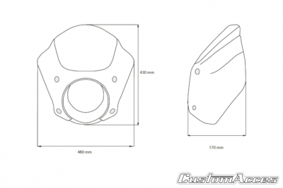 Carenatura anteriore custom Acces Snake Eye Harley Davidson Sportster 1200 Forty Eight
