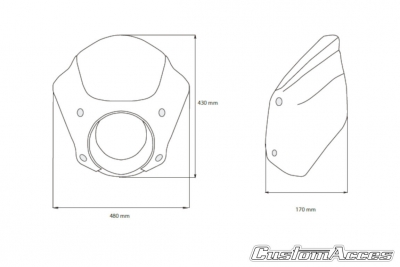 Custom Acces Front Fairing Snake Eye Harley Davidson Sportster 1200 Forty Eight