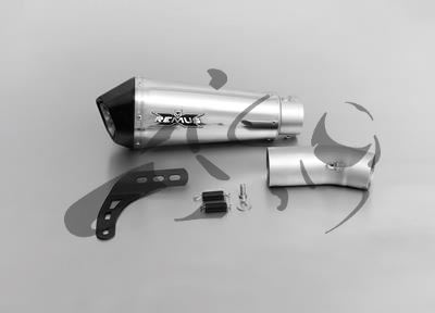 Exhaust Remus Hypercone Ducati Monster 821