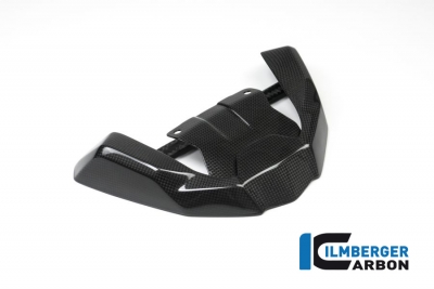 Rallonge de bec carbone Ilmberger avant BMW R 1200 GS