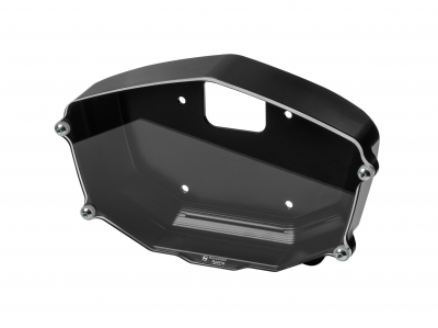 Bonamici display protection Aprilia RSV 4