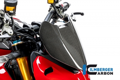 Carbon Ilmberger Armaturenabdeckung Ducati Streetfighter V4