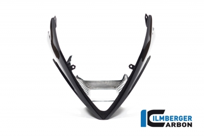 Base carenatura in carbonio BMW M 1000 RR