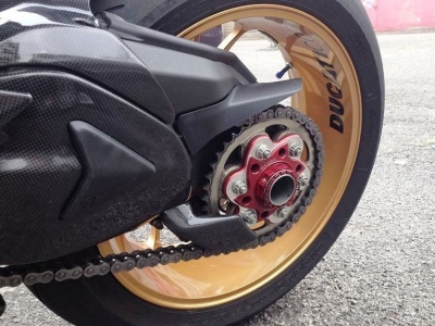 Brida de pin Ducabike Ducati Multistrada 1260 Pikes Peak