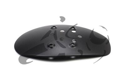 Carbon Ilmberger splash guard rear Ducati Diavel 1260