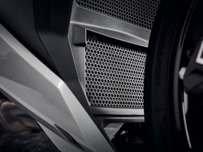 Griglia radiatore Performance BMW S 1000 R