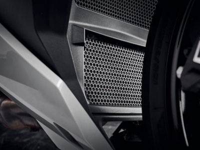 Performance radiator grille BMW S 1000 R