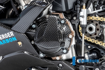 Carbon Ilmberger Lichtmaschinenabdeckung BMW S 1000 R