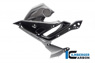 Carbon Ilmberger Khlerverkleidungen Set BMW S 1000 R