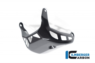 Carbon Ilmberger engine cover below Ducati Multistrada V4