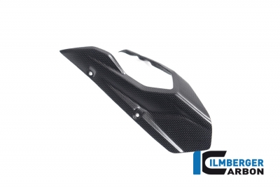 Carbon Ilmberger swingarm cover Ducati Multistrada V4