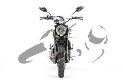 Porta indicatore posteriore in carbonio Ducati Scrambler Icon