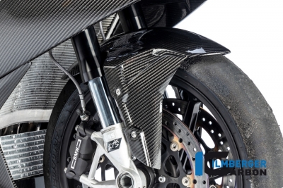 Copriruota anteriore in carbonio Racing BMW M 1000 RR