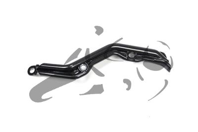 Carbon Ilmberger Bremsleitungsabdeckung Ducati Panigale 1299