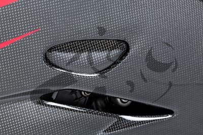 Carbon Ilmberger dynamo kap Ducati Panigale 1199