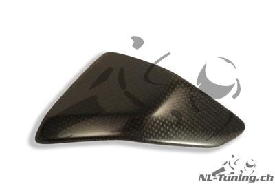 Carbon Ilmberger side panel insert set Ducati Panigale 1199