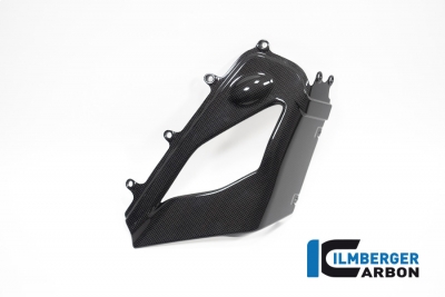 Carbon Ilmberger Auspuffabdeckung Akrapovic Set Ducati Panigale V4
