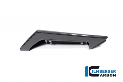 Carbon Ilmberger Soziusabdeckung Aprilia RSV 4 1100