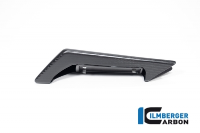 Carbon Ilmberger Soziusabdeckung Aprilia RSV 4 1100