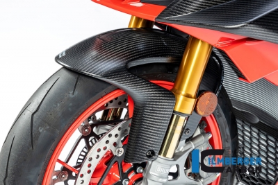 Aile avant carbone Ilmberger Aprilia Tuono V4