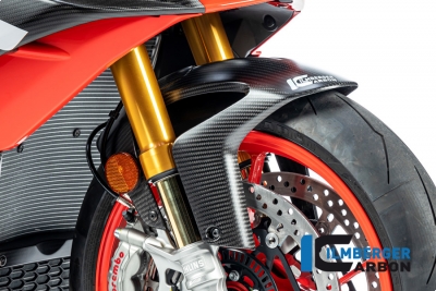 Aile avant carbone Ilmberger Aprilia Tuono V4