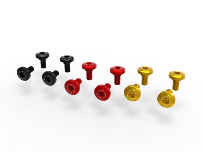 Ducabike swingarm protector screws set Ducati DesertX