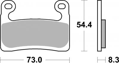 Plaquettes de frein AP Racing TRR BMW R 1250 RT