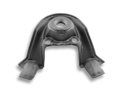 Ducabike carbon ignition lock cover Ducati Streetfighter V4